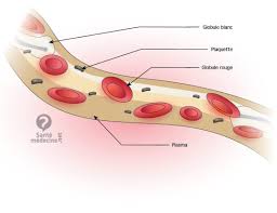 Il y avoir _ beaucoup de gens à cet endroit. Hematocrite Qu Est Ce Que C Est Et Pourquoi Le Doser