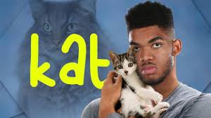 Even though the rules keep him off team usa, not being able to include towns feels like a snub. The Nba S Great Cat Mystery Wsj