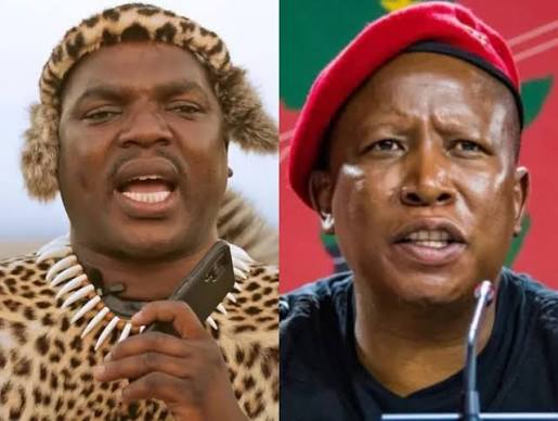 Ngizwe Mchunu issues apology to Court and Malema after being found guilty of contempt