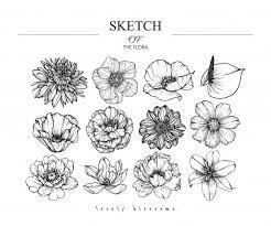 Beautiful Leaf And Flower Drawings Flower Drawing Leaf Drawing Floral Botany