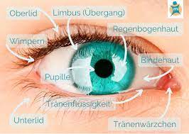 Trockene Oder Allergische Augen Ihre Apotheke Gibt Rat