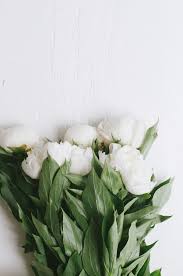 Check out our year round blooms selection for the very best in unique or custom, handmade pieces from magical, meaningful items you can't find anywhere else. Pin By Georgia Quiles On Flowers Pretty Flowers Flowers Bloom