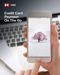 A lot of people make online credit card payments every month; Hsbc Malaysia Hsbc Credit Card Online Payment Facebook