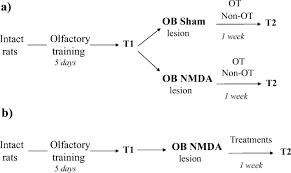 Image result for Olfactory Training