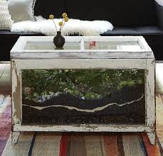 Winsome elise bed tray with wainscoting top. 8 Coffee Table Terrarium Ideas Indoor Plants Coffee Table Terrarium Succulents