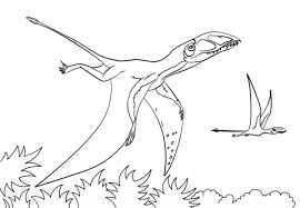 coloriage dimorphodon coloriages a imprimer gratuits de surjeteuse