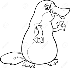 Black And White Cartoon Illustration Of Funny Platypus Or Duckbill Royalty Free Cliparts Vectors And Stock Illustration Image 35646279 Are you looking for page borders you can use for kindergarten art activities and letter writing? black and white cartoon illustration of funny platypus or duckbill
