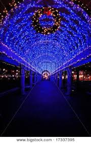 Archway Of Columbus Water Park During Christmas Boston Blue Christmas Lights Blue Christmas Christmas Lights