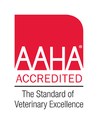 There are 11 animal hospitals in lakeland, florida, serving a population of 104,165 people in an area of 66 square miles. Vet Near Me 33801 Santa Fe Animal Hospital Lakeland Fl