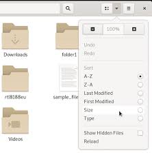 Solution to this problem can be provided in two different ways. List Files Sorted By Size In A Directory Tree On Linux Linux Hint