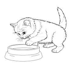 Übertragen sie die schablone auf das papier und schneiden sie aus. Katzen Ausmalbilder Ausmalbilder Kinder Fur Malvorlagen Ausmalbilder Katzen Katze Zum Ausmalen Ausmalbilder