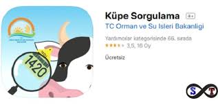 Kupe Sorgulama Ne Ise Yarar Sonsuz Teknoloji