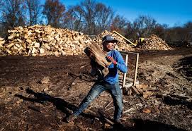 Our tree removal and tree service in memphis will save you money every time. These Days Firewood Is Hot Memphis Local Sports Business Food News Daily Memphian