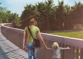 Fietsen door de heide loopt binnenkort dwars door het nationaal park hoge kempen. Fietsen Door De Heide Samen Naar Een Bloeiende En Ontspannende Regio Fddh Pdf Gratis Download