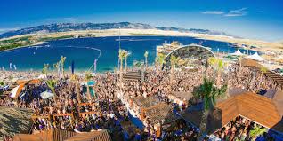 Check spelling or type a new query. Papaya Club Papaya Club