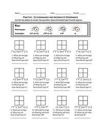 Reginald punnett did invent the punnett square. Punnett Square Practice Codominance And Incomplete Dominance Punnett Squares Dominant Practice