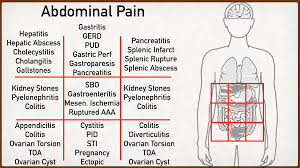 For instance, when nurses perform abdominal inspection and assessment, the abdominal region is divided into four quadrants and nine regions. Anatomical Quadrants Illustration Of Abdominal Quadrants Stock Photo Alamy Upper Quadrant Right Upper Quadrant Right Lower Quadrant Common Prefixes Of Many Medical Terms Prefix Unibihemipanpolya Pxp Jujt1