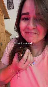 Raising Chickens: A Journey in Homesteading