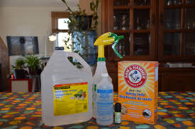 La Meilleure Recette De Desinfectant Naturel Pour Nettoyer Les Surfaces