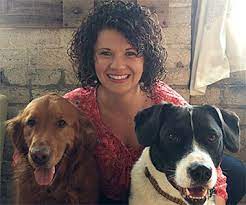 Check spelling or type a new query. Contact Us Pet Vet On Patton Asheville North Carolina S Premiere Animal Hospital