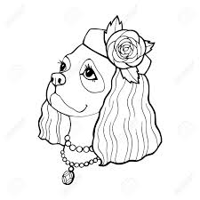 The cavalier king charles spaniel is a delightfully affectionate, playful, intelligent little dog that repays his owner's care and attention with an endearing devotion. Stylized Cartoon Of Cavalier King Charles Spaniel Hand Drawn Sketch For Adult Antistress Coloring Page Royalty Free Cliparts Vectors And Stock Illustration Image 132638122