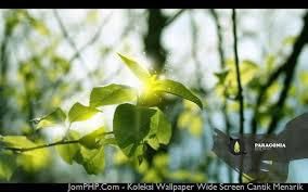 Cantik dan menarik ikan koki dan arwana dapat di satukan dengan ikan air laut dalam sebuah wallpaper. Koleksi Wallpaper Wide Screen Cantik Menarik 1