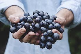 7 Foods And Drinks That Contain Resveratrol Natural