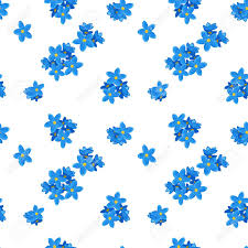 We have a huge range of patterns products available. Stylish Floral Seamless Pattern With Forget Me Not Forget Me Stock Photo Picture And Royalty Free Image Image 52758708