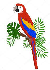 Perroquet Dessin Oiseaux Lilo Dessin Perroquet Pochoir Oiseau Dessin Oiseau