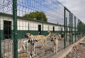 Sincan Gecici Bakim Evi Ve Rehabilitasyon Merkezi Yakinda Hizmete Girecek