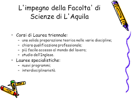 Portale istituzionale dell'azienda sanitaria locale 1 avezzano sulmona l'aquila. Il Nuovo Ordinamento A L Aquila Ppt Scaricare