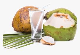 Coconut water contains magnesium, a mineral that helps to keep things moving and prevent constipation says michalcyzk. Transparent Coconut Drink Png Coconut Water Drink Png Png Download Kindpng