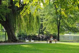 Treatment for chronic conditions, including diabetes, high blood pressure, high cholesterol and asthma. Best City Parks In America Top Parks To Visit Near Us Cities Thrillist
