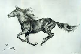 Pin Auf Ausmalbilder Pferde