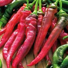 Check spelling or type a new query. Goat Horn Organic Pepper Seeds Shipping Is Free For Orders Over 35
