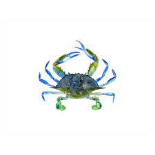 Maryland/delaware blue crabs $59 dozen 1's large males louisiana blue crabs $59 dozen 2's medium males louisiana blue crabs $79 dozen 1's large males louisiana blue crabs $89 dozen extra large males 1/2 bushel & bushel prices: Maryland Blue Crab Watercolor Art Coastal Decor Tiny Toes Design