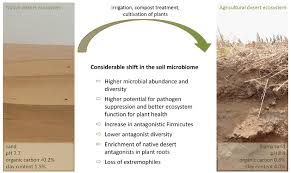 Image result for Putterlickia verrucosa