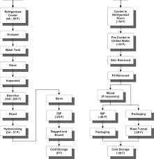 Vegetable Processing And Fruit Processing Flow Diagrams