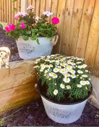 Old Style B M Planters Plants Container Plants Planters