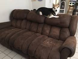 Craigslist Couch Of The Day Posts Facebook