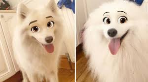 New Snapchat Filter Makes Your Dog Look Like A Disney Character Ladbible