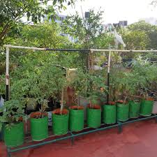A raised terrace keeps a house dry and provides a transition between the hardscape and the softscape. Look Up The Terraces Thrive Deccan Herald