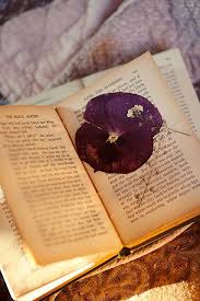 How do you preserve flowers in a book. The Magic Garden Pressed Flowers Spring Flowers Pressed Flower Crafts