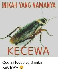 Check spelling or type a new query. Inikah Yang Namanya Kecewa Ooo Ini Toooo Yg Dmnkn Kecewa Indonesian Language Meme On Loveforquotes Com