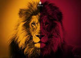 Yıllar sürmüş galatasaray'ın aslan olması. Galatasaray Aslan Lion Wallpaper Galatasaray Club