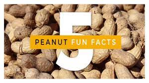 Pin On We Peanuts