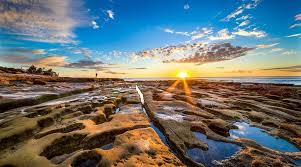 We did not find results for: The 9 Best Landscape Photographers San Diego Peerspace