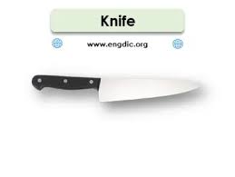 We did not find results for: Kitchen Utensils Names List Tools And Appliances With Pictures Engdic