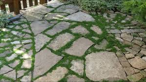 10 Ground Covers To Grow Between Patio Pavers And Stone Paths