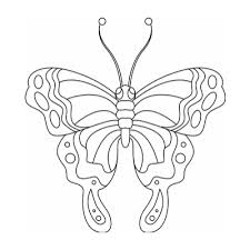 Alors, on y va, direction ce tutoriel pour apprendre à dessiner un papillon. Coloriage Papillon Dessin Papillon La Selection De Tete A Modeler